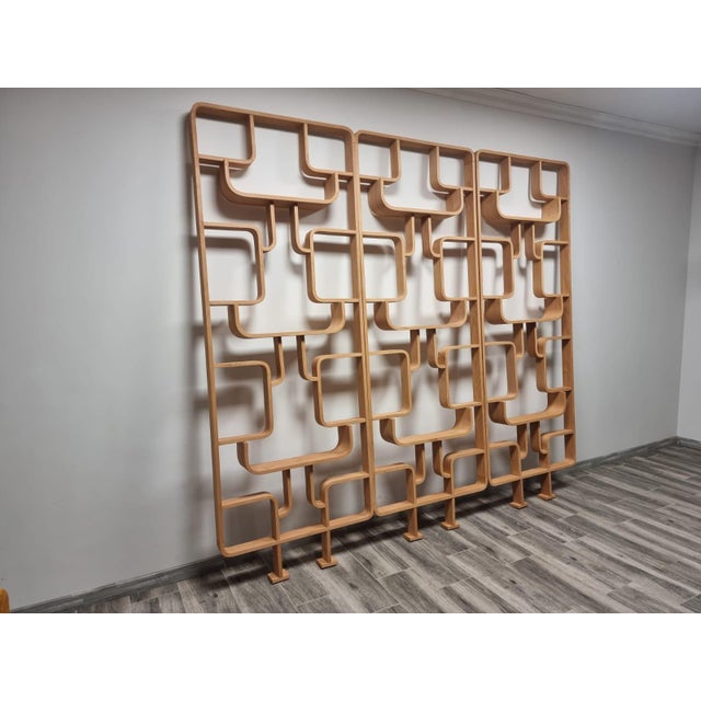 Room Dividers by Ludvik Volak for Drevopodnik Holesov, 1950s, Set of 3 For Sale - Image 4 of 17
