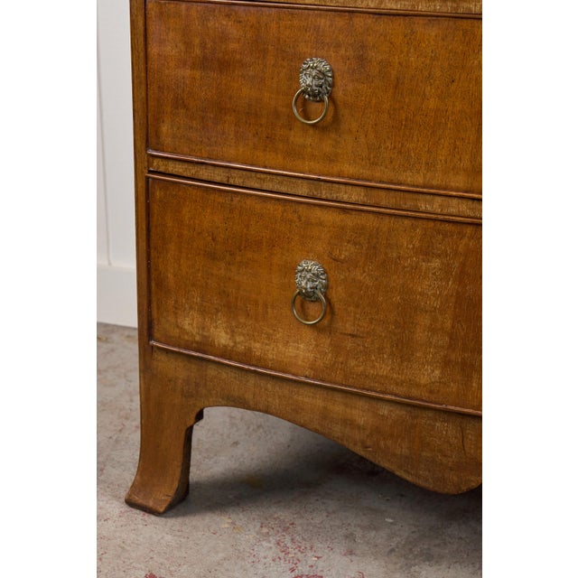 19th Century Mahogany Chest With Lion Head Pulls For Sale - Image 11 of 14