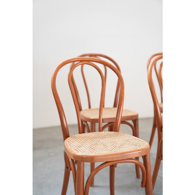 Chairs in Curved Beech Wood and Straw Seat, 1990s, Set of 6 For Sale - Image 9 of 17