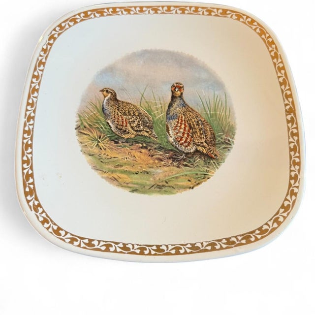 French Provincial 1950s Vintage French Longchamp Pheasant Plates- Set of 12 For Sale - Image 3 of 5