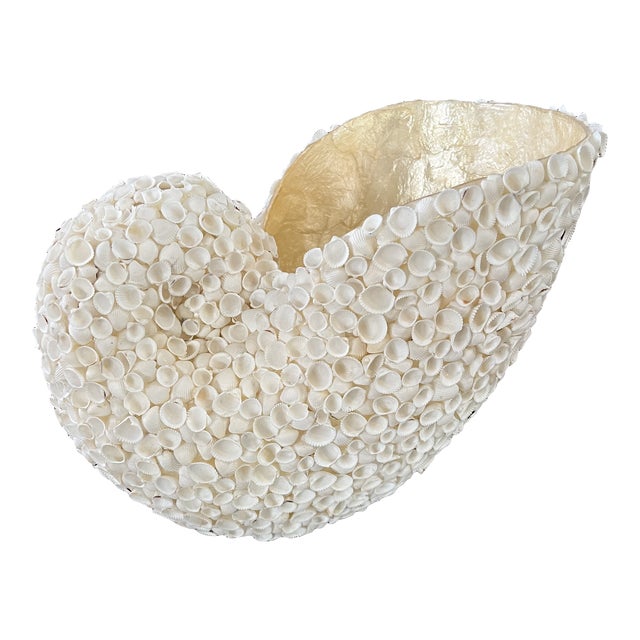 Late 20th Century Sea Shell Encrusted Shell Shaped Vessel For Sale