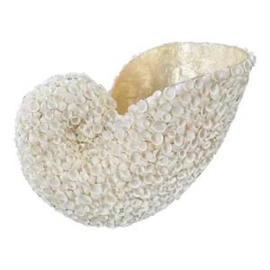 Late 20th Century Sea Shell Encrusted Shell Shaped Vessel