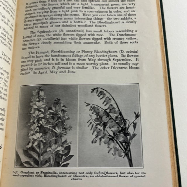1920s 1927 Little Book of Perennials For Sale - Image 5 of 13