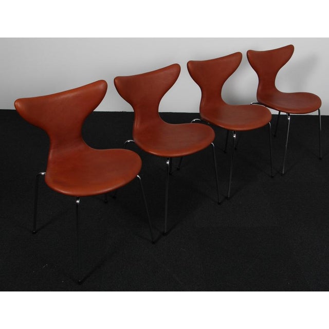 Arne Jacobsen dining chair new upholstered with smooth brandy coloured full grain aniline leather. Base of chromed steel...