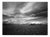Paul Cooklin, Wheat Field, Occold Ii, Edition of 50 For Sale