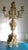 Baroque Six-Armed Candleholder in Brass For Sale - Image 5 of 6