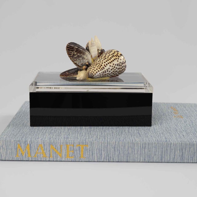Charming vintage lucite box featuring a stunning cluster of natural seashells as the decorative lid handle. The clear...