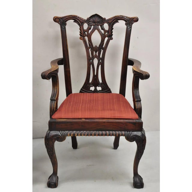 Reproduction Chippendale Style Mahogany Carved Ball and Claw Dining Arm Chairs with Shell Carved Backs (Slight variation...