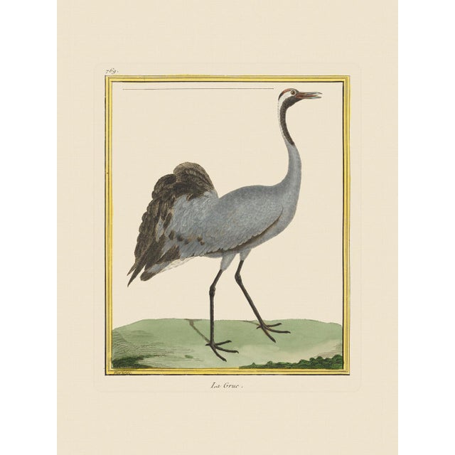 Paper Shore Bird Grouping by Martinet Blue and Pink Giclee Reproductions For Sale - Image 7 of 11