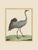 Paper Shore Bird Grouping by Martinet Blue and Pink Giclee Reproductions For Sale - Image 7 of 11