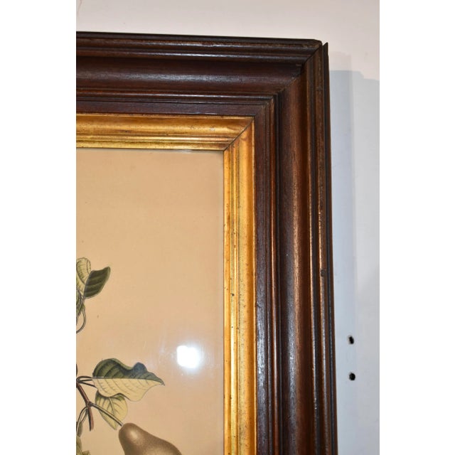 19th Century Louis Charles Ruotte Engraving For Sale - Image 4 of 8