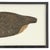 Paper Framed Early 20th Century American Canada Goose Decoy For Sale - Image 7 of 9