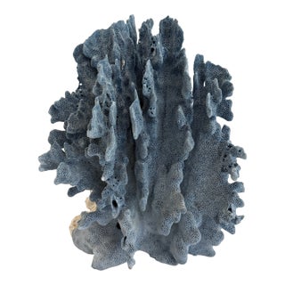 Natural Blue Coral Specimen Coastal Decor For Sale