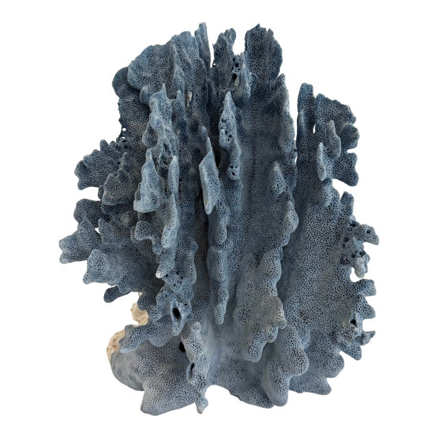 Natural Blue Coral Specimen Coastal Decor For Sale