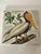 Beautiful colourful polychrome Handpainted Pelican figurine, signed verso ceramic tile : trivet. Collectible