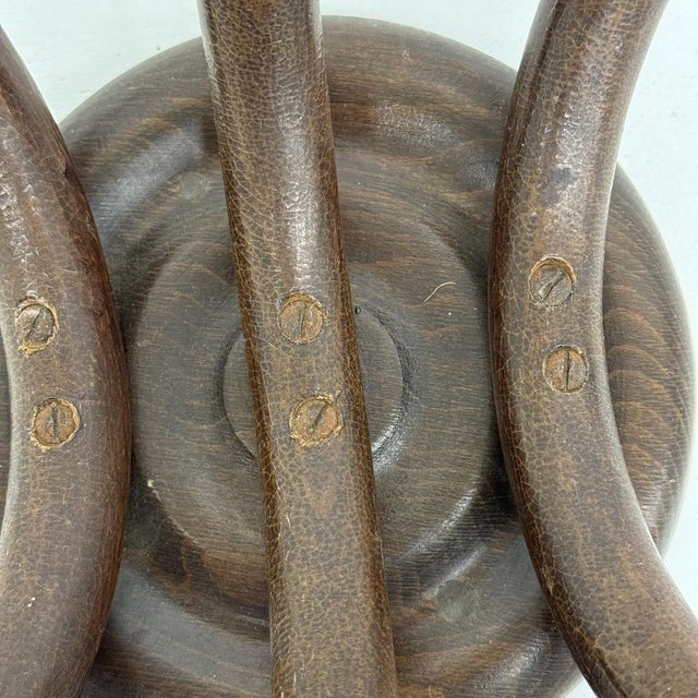 Antique Bentwood Wall Mounted Coat Rack, 1930s For Sale - Image 15 of 18