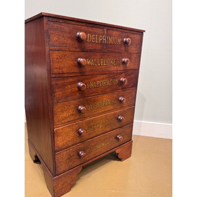 19th Century Chest of Drawers With Botanical Species For Sale - Image 11 of 11