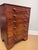 19th Century Chest of Drawers With Botanical Species For Sale - Image 11 of 11