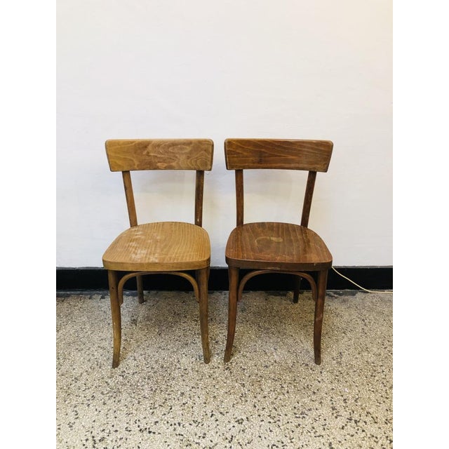 Set of Vintage Cafe Chairs by Thonet, 1920s For Sale - Image 11 of 11