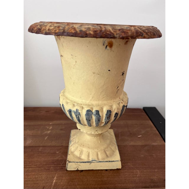 Mid 20th Century Mid-Century Petite Cast Iron Medici Style Garden Urn in Pale Buttercup Yellow For Sale - Image 5 of 12