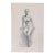 Late 20th Century Tim Holland Nude Female Portrait Drawing For Sale