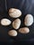 Contemporary Set of 6 Fossilized Clam Shells / Natural Specimens For Sale - Image 3 of 3