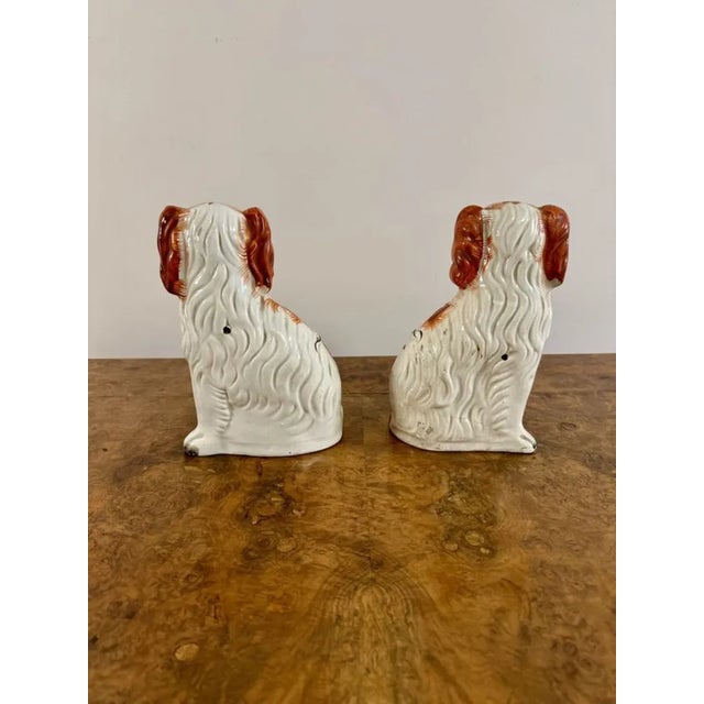 Late 19th Century Antique Victorian Seated Spaniels, 1880, Set of 2 For Sale - Image 5 of 6