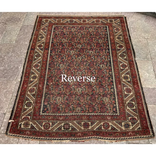 Brick Red Early 20th Century Antique Malayer Rug -- 3’5” X 4’7” For Sale - Image 8 of 13