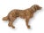 Traditional Antique Vienna Bronze Setter Dog For Sale - Image 3 of 4