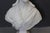 H. F. Iselin, Bust of a Woman, 1873, Carrara Marble For Sale - Image 10 of 17