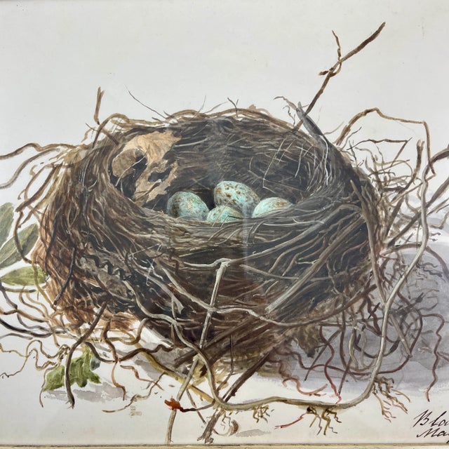 An original British School Regency Period watercolor study of a Blackbird’s nest and eggs, mounted in a Georgian Period...