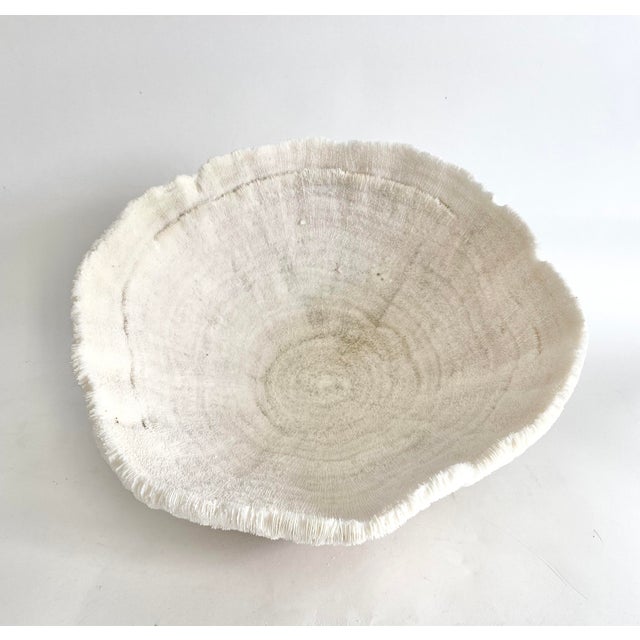 Chinoiserie Natural White Bowl Coral Specimen Coastal Home For Sale - Image 3 of 9