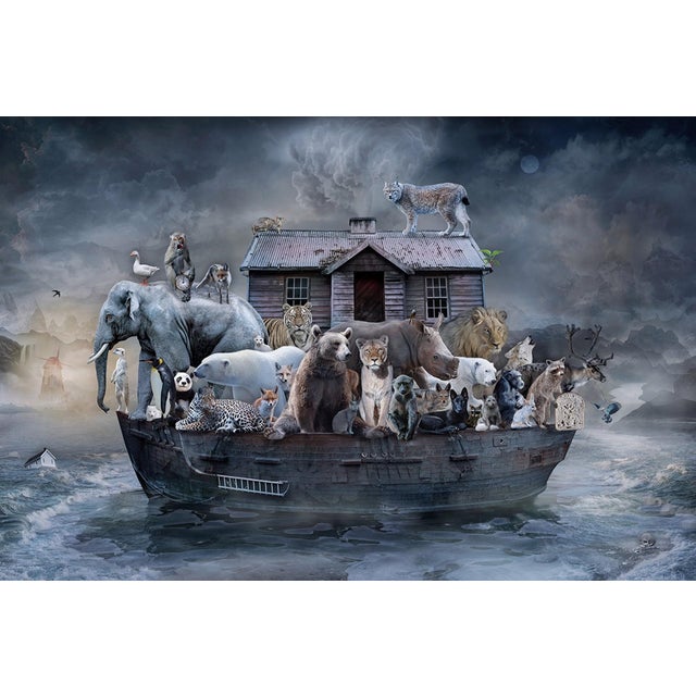 In Search of Safe Harbor by Marcin Owczarek | Photography - Dye Sublimation on Aluminum of animals on a boat For Sale