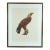 Eagle of Thebes, Large Hand-Colored Engraving From Napoleon’s Description De L’Égypte For Sale