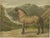 After Eerelman, Norwegian Horse, 1898, Lithograph For Sale - Image 10 of 10