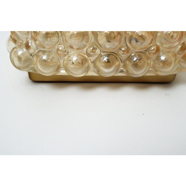 Golden Bubble Wall Light with Glass by Helena Tynell for Glashütte Limburg, 1960s For Sale - Image 14 of 17