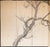 Large antique or vintage Japanese 6-panel painted byobu (folding screen) "Sparrow and the Plum Tree" by Ryosetsu Kobe, a...