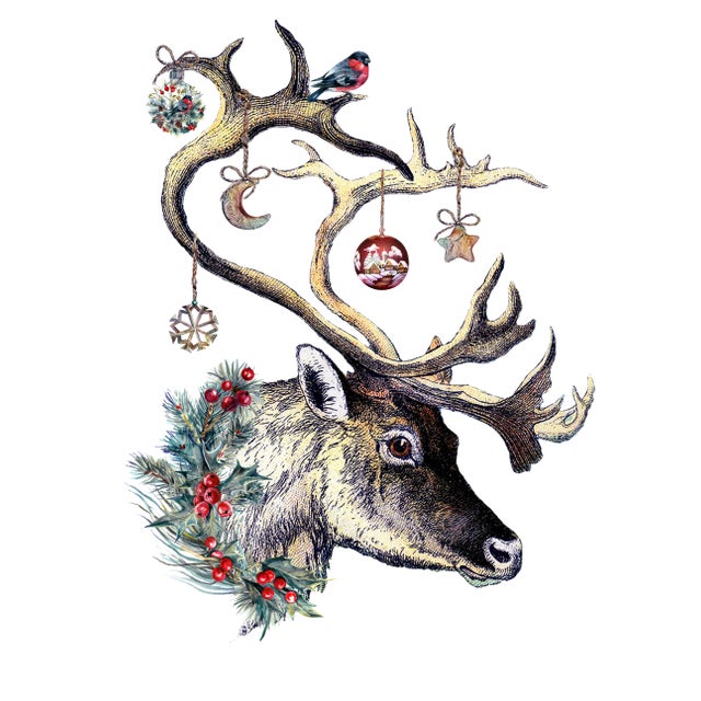 Wonderful Holiday Pillow Reindeer with Birds and Ornaments on Antlers Beige Linen Pillow 20" x 20" Matching Corded Finish...