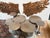 Bernhardt Cerchi Outdoor Coffee Table For Sale - Image 12 of 16