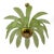 Mid-Century Modern Palm Leaves Chandelier in Murano Glass and Brass from Maestri Muranesi, 2000 For Sale - Image 6 of 10