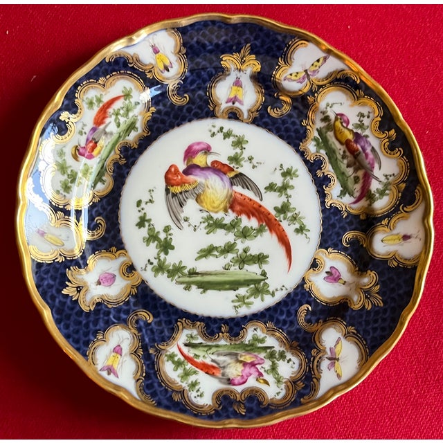 Edmé Samson Antique 19th Century Samson Porcelain Exotic Bird Plate in the Worcester Taste Circa 1880 For Sale - Image 4 of 11