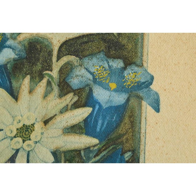Brown Unknown, Edelweiss, Early 20th Century, Lithograph, Framed For Sale - Image 8 of 10