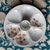 French Porcelain Limoges Oyster Shell Plates with Seaweeds, 1930s, Set of 5 For Sale - Image 6 of 11
