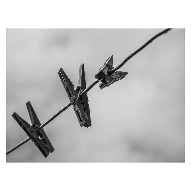 Sonia Almaguer, Serie del zaguán de Fico al patio de Matilde (1), 2015, Digital Print For Sale