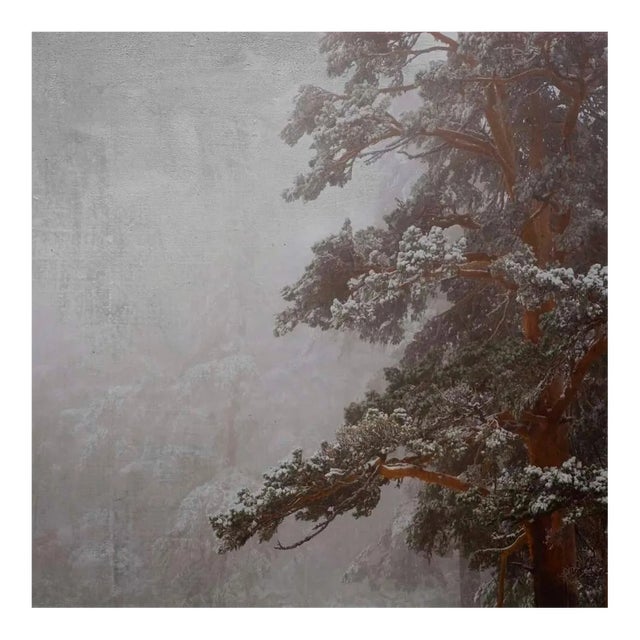 Rosa Basurto, Blanco 5, Landscape Photograph For Sale