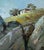 2020s Oil Painting Whisper of the Sea Waves Yuriy Suprunchuk For Sale - Image 5 of 10