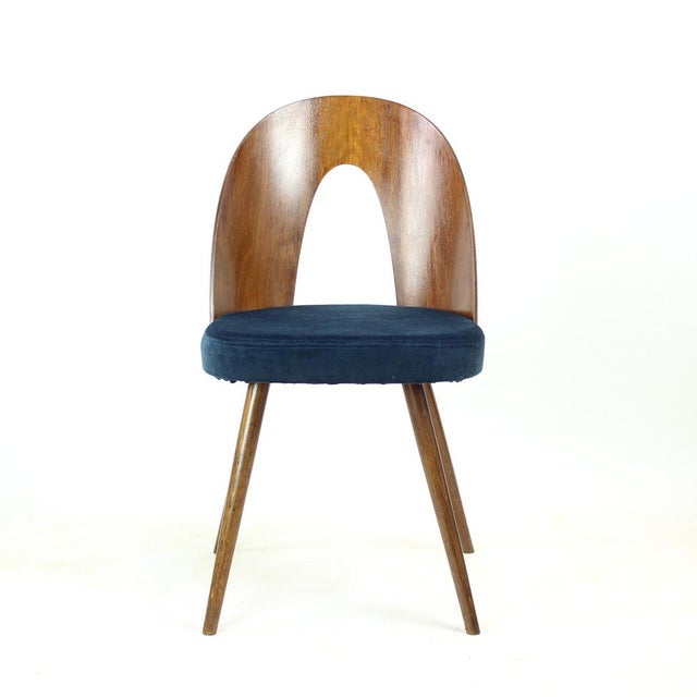 Mid-Century Modern Tatra Chairs in Walnut and Velvet by Šuman, 1960s, Set of 6 For Sale - Image 3 of 18