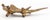 Louis Mendez Gilt Bronze Dragon Sculptures, 3 For Sale - Image 9 of 9