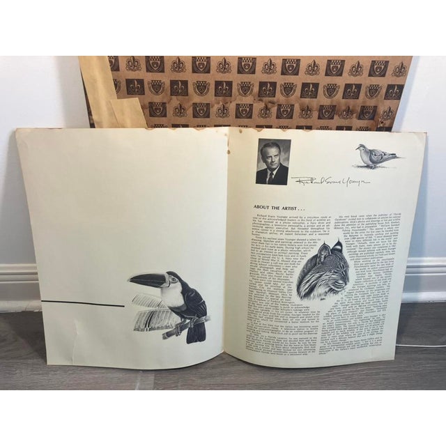 Richard Evans Younger Signed Print – Scrub Jay, 1973 For Sale - Image 10 of 10