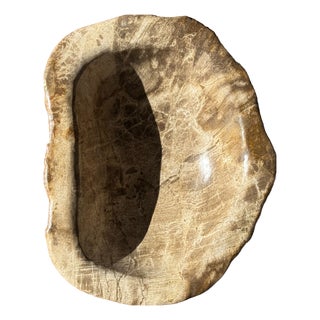 Oval Beige Petrified Wood Bowl, 1980s For Sale